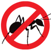Ant Control Springvale