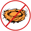 Bird Nest Removal Springvale