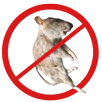 Dead Animal Removal Springvale