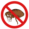Flea Control Springvale