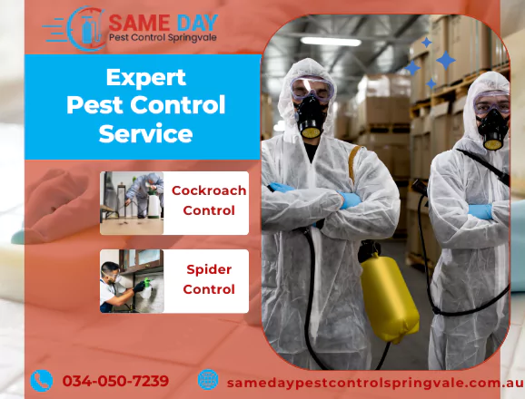 Pest Control Springvale