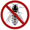 Wasp Control Springvale